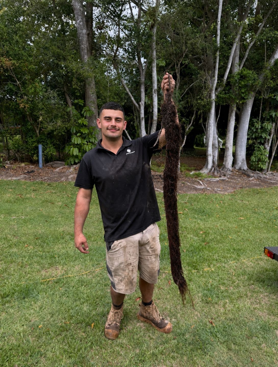 Tree Root Removal - Stormwater Drain